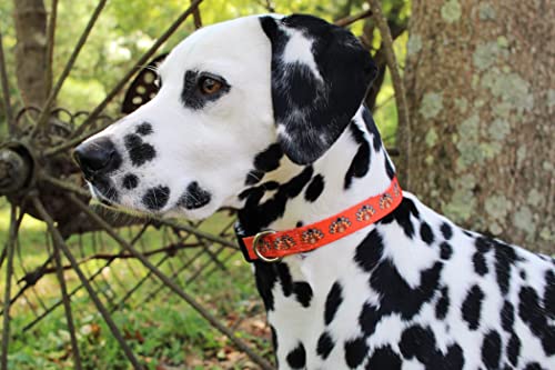 Limeloot Thanksgiving Dog Collar, Adjustable Fall Dog Collar in Small, Medium, and Large, Holiday Collar for Female and Male Dogs, Turkey, Small - color: Thanksgiving Turkey, size: Small