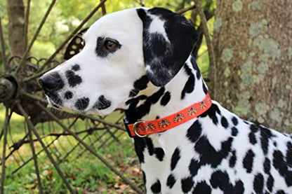 Limeloot Thanksgiving Dog Collar, Adjustable Fall Dog Collar in Small, Medium, and Large, Holiday Collar for Female and Male Dogs, Turkey, Small - color: Thanksgiving Turkey, size: Small