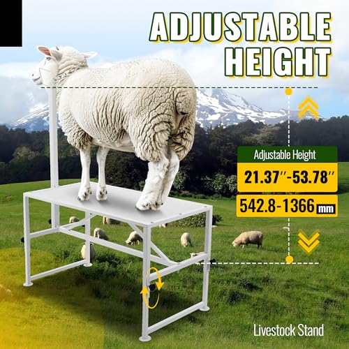 HECASA 51"x23" Sheep Livestock Trimming Stand Shearing Milking Stand