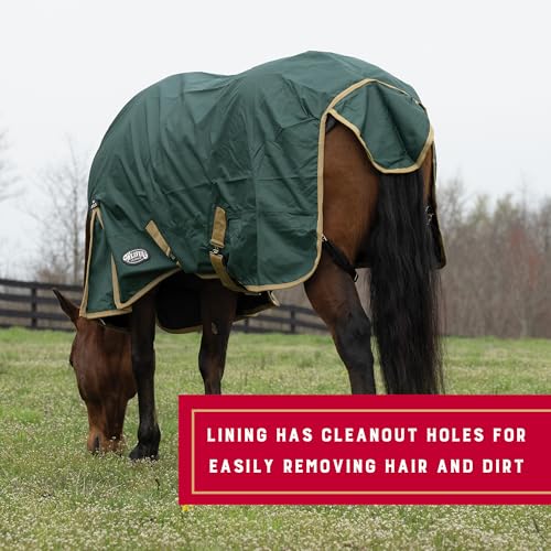 Weaver Equine Turnout Horse Rain Sheet, Waterproof Horse Turnout Sheet with Hole Mesh Lining, Multi-Purpose Protective Equestrian Gear, 75", Green - size: 75"