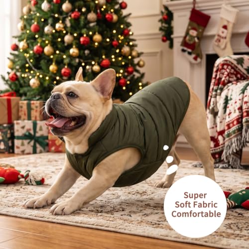 JoyDaog Fleece Lined Dog Jacket for Small Dogs,Winter Dog Coat,Green S - color: Green, size: Small