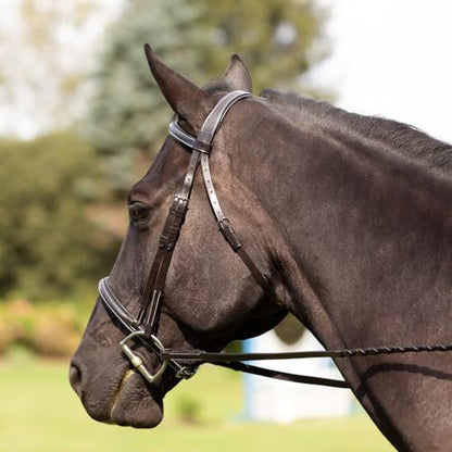 Equinavia Saga Adjustable Padded Fancy Stitched Hunter Bridle with Reins - size: Horse