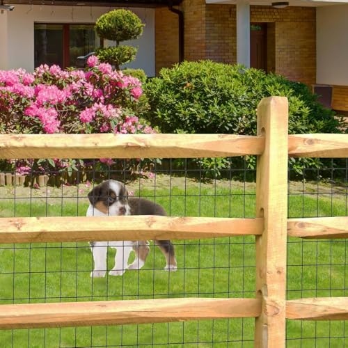 Black PVC Coated Welded Wire Fence 48" x 100' Roll, 2"x3" Mesh, 16 Gauge - color: Black, size: 2''x3'' 16GA 48''x100'