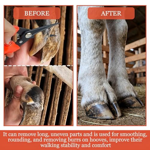 Goat Hoof Trimmers,Professional Hoof Care Trimming Shears Nail Clippers for Sheep,Goats,Alpaca,Lamb,Horse,Pig Hooves Multi-Purpose Pruning Versatile Steel Trimmer for Twig and Floral Scissor Tool