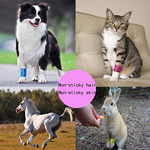 Stmandy Vet Wrap Bulk, Bandage Wrap Vet Tape 1 Inch,Waterproof Self Adherent for The People or The pet(cat, Dog, Horse and so one) who was injure or Have Wounds (Cartoon) - size: 5rolls*1 Inch
