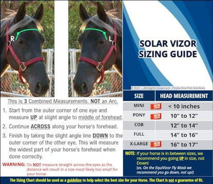 EquiVizor Solar Vizor Horse Fly Mask (Size Mini), 100% UV Eye Protection for Horses with Uveitis, Photosensitivity, Ulcers, Head Shaking, Eye Injuries. Also Available in Pony, Cob, Full - size: Mini