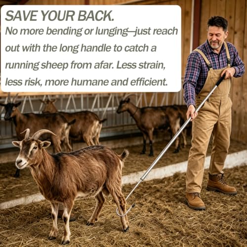 Professional Sheep Catch Hook Tool