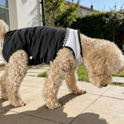 Dog Surgical Suit - Recovery Onesie for Dogs After Surgery, Spayed Female/Male Puppy, Breathable Anti-Lick Clothes, Alternative to Cone(Black and White-xs) - color: black and white, size: X-Small