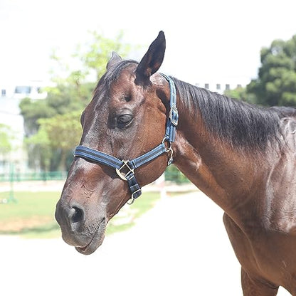 Adjustable Horse Halters - Heavy Duty Nylon Webbing & Hardware, Padded with Anti Chafing Foam-Cushioned on Crown & Nose - color: Dark Blue, size: Pony