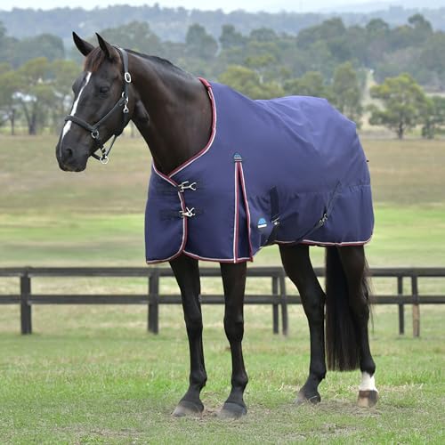 WeatherBeeta ComFiTec Essential Turnout 220g, Navy/Burgundy, 63" - color: Navy/Burgundy, size: 63"