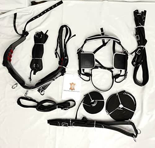 Black Patent Nylon Driving Harness for Single Horse Cart with White Piping/Trim (Full, Cob, Pony, Shetland & Mini) - size: Mini