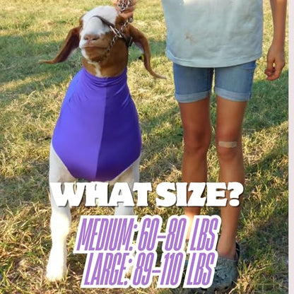 Show Pro Purple Spandex Goat Tube for Show Goats - Show Livestock Supplies: Goat Covers & Blankets (Large) - size: Large