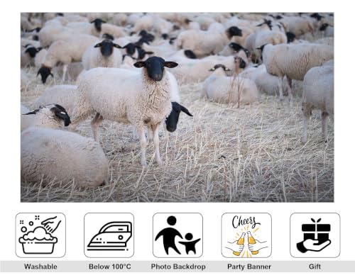 10x8ft Fabric Black Face Sheep Herd Backdrop Flock of Wool Sheep On Dry Grass Field Photography Background Tapestry Party Farm Animal Decorations Photo Booth Props - size: 10x8ft