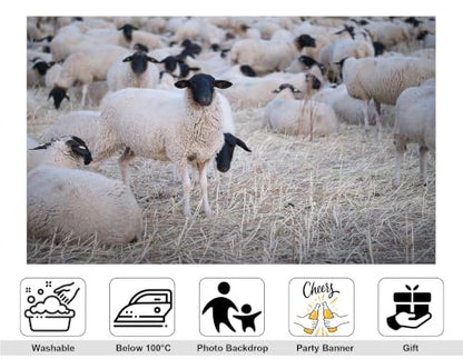 10x8ft Fabric Black Face Sheep Herd Backdrop Flock of Wool Sheep On Dry Grass Field Photography Background Tapestry Party Farm Animal Decorations Photo Booth Props - size: 10x8ft