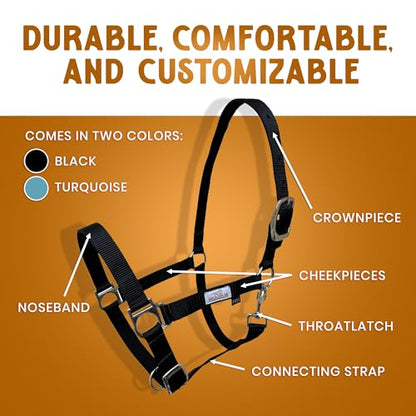 Prairie Horse Supply Nylon Horse Halter - 1 Inch Wide, Horse Halter Adjustable, Horse Harness, Horse Equipment and Supplies - Ideal for Equestrian Use