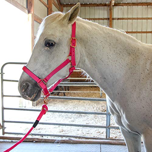 Majestic Ally Halter with Lead Rope for Horses–Adjustable Chin and Crown–Rolled Throat Latch with Replaceable Snap–Padded Noseband–Heavy Duty Rose Gold Finish Hardware - color: Hot Pink