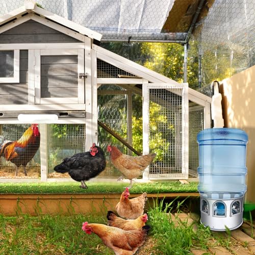 Chicken Water Heater,Heated Chicken Waterer 5 Gallon,Chicken Coop Accessories in Winter for 5 Gallon Buckets,Heated Water Bowl for Chickens, Ducks, Pigeons, (Does not Contain Buckets).