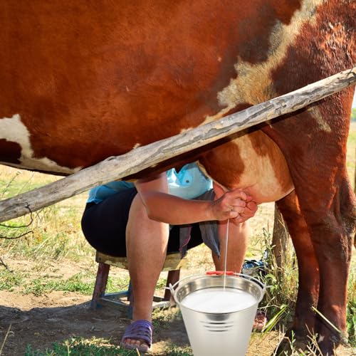 Hemoton Stainless Steel Bucket with Lid 5.5 Qt Multi-Purpose Household Water Bucket for Milking Dairy Storage and Compost Use with Comfortable Handle
