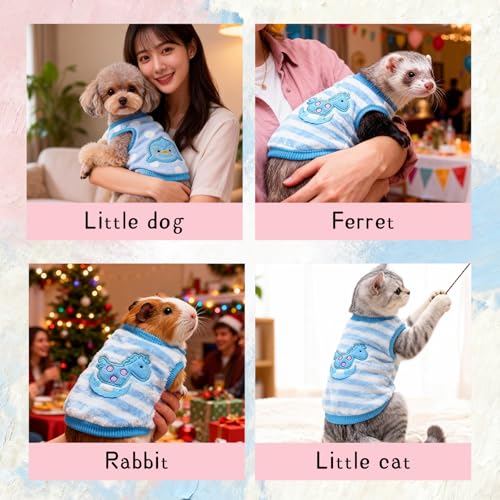 Ultra-Small Pet Winter Clothes, 4-Piece Luxuriously Soft Coral Fleece Set | XXS Size for Guinea Pigs, Rabbits, Ferrets, Tiny Chihuahuas (XXS: Fits pets 1-2 lbs) - size: xxs