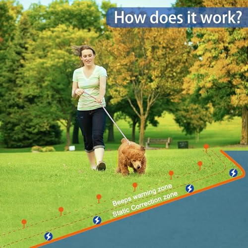 Basic In-Ground Pet Fence - Underground 2 Dog Fence System, Electric Fence for Dogs Waterproof Training 2 Collars for Dog Over 20lb, Wireless Electric Dog Fence System (2 Dog System)
