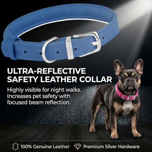 OOPSDOGGY Rolled Leather Dog Collar Reflective – Genuine Leather Round Dog Collar for Small Medium Large Dogs (Blue, 8" - 11") - color: Blue, size: 8" - 11"