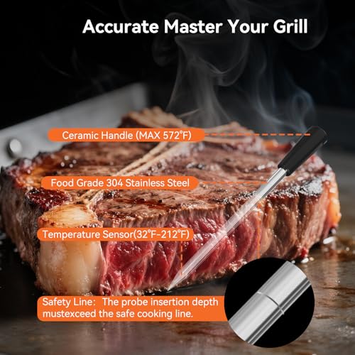 Newise Bluetooth Wireless Meat Thermometer - Long Range & Fast Charge - style: 1 Probe