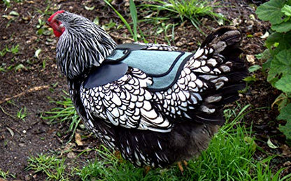 DOWN UNDER OUTDOORS Medium-Large Chicken Saddle Hen Apron Saver (Burgundy) - color: Burgundy