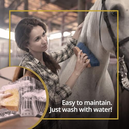 Gel Saddle Pad - Helps with Saddle Bridging, Sore Back, Swayed Back, High Withers English Bareback Pad for Horses, Protective, Perfect for Eventing, Schooling, Dressage - size: Basic Riser