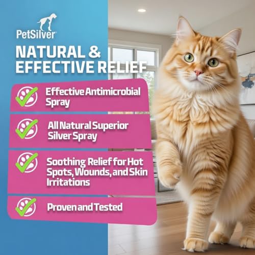 PetSilver Wound Spray, Silver Spray for Cats, Made in USA, 2 fl oz - size: 2 oz