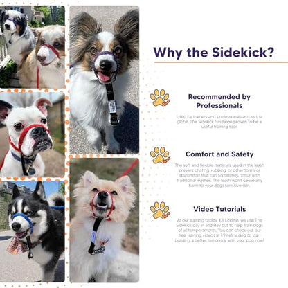 Heather's Heroes The Sidekick No-Pull Leash Black - color: Black, size: Mini (1/4")