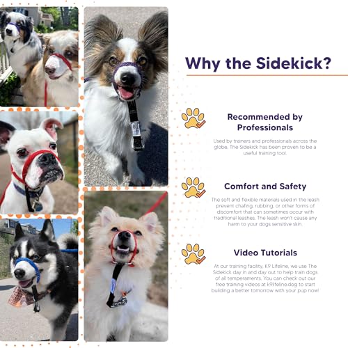 Heather's Heroes The Sidekick No-Pull Leash, Red, Mini - color: Red, size: Mini (1/4")