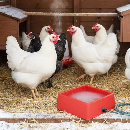 Farm Innovators D-19 Heated Animal Water Bowl, 60 Watts, 1.25 Gallon, Red - size: 5 Qt