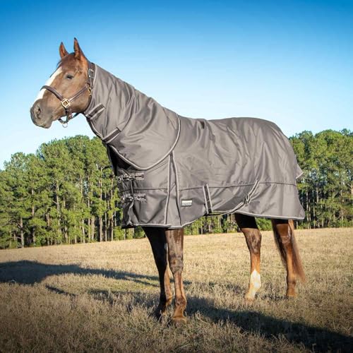 Jeffers Poplar Head Defense 1680 Denier Waterproof Turnout Blanket with Detachable Neck Cover 72", 240g Insulated Winter Horse Coat, Durable Outdoor Equestrian Rug, Adjustable Straps, Plymouth Brown - size: 72 in