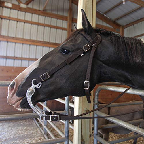 Majestic Ally Nylon Padded Equestrian Browband Headstall, Reins & BreastCollar Set for Horse- Full - color: Royal Blue