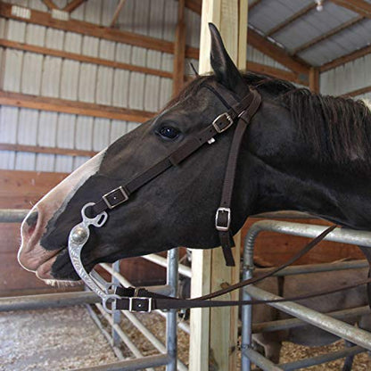 Majestic Ally Nylon Padded Equestrian Browband Headstall, Reins & BreastCollar Set for Horse- Full - color: Royal Blue