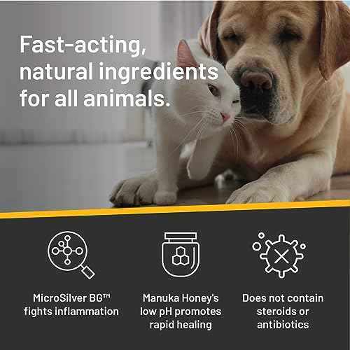 Silver Honey Hot Spot & Wound Care Pet First Aid Spray Gel, 8 fl oz | Manuka Honey, MicroSilver BG, Dog, Cat, Small Animal, Rapid Healing, Treat At Home, Touch-Free Application, Antibiotic-Free