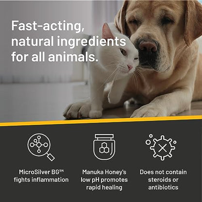 Silver Honey Hot Spot & Wound Care Pet First Aid Spray Gel, 8 fl oz | Manuka Honey, MicroSilver BG, Dog, Cat, Small Animal, Rapid Healing, Treat At Home, Touch-Free Application, Antibiotic-Free
