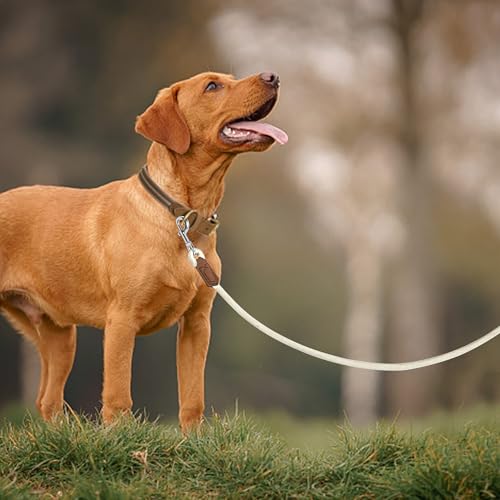 Mile High Life Dog Leash with Genuine Leather-Wrapped Ends/Handle, 4/5/6FT - color: Cream White, size: 48 Inch-1/2"