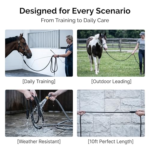 Professional Roper Rein, Soft Broken-in Nylon Braiding, Converts to Training Lead, Durable Stainless Steel Hardware, 1/2" x 10' Heavy-Duty Equestrian Horse Reins & Lead Rope