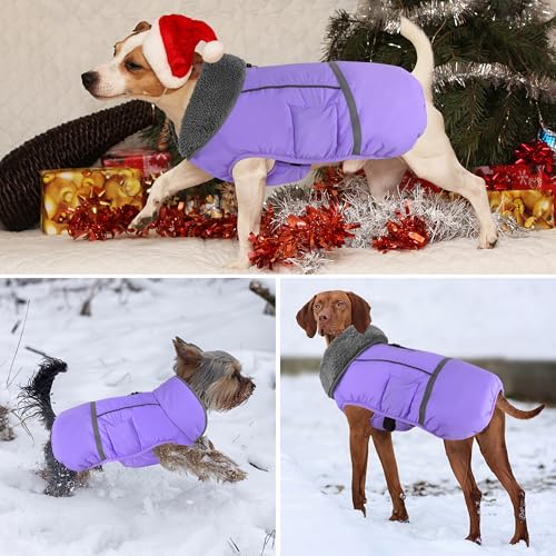 Dogcheer Warm Dog Coat, Waterproof Dog Jacket Christmas Puppy Winter Coat with Buckle, Reflective Adjustable Pet Snow Jacket Fleece Sweater for Small Medium Large Dogs - Taro Purple M - color: Taro Purple, size: Medium