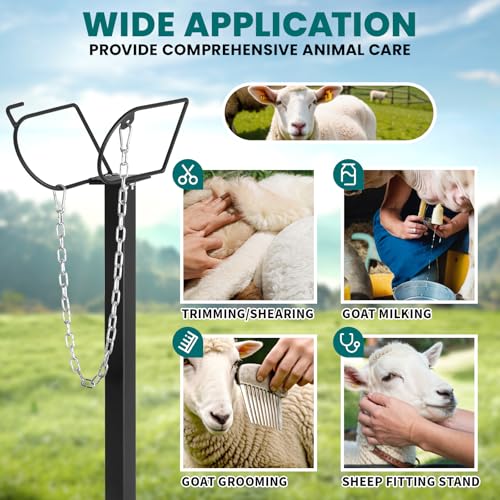 Goat Milking Stand, 47x23 inch Livestock Stand with Headpiece and Nose Loop, Adjustment Height 21" to 33" , Ideal for Horned Farm Animals Husbandry Trimming Frame