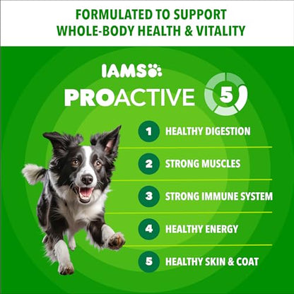 IAMS Proactive Health 성인용 Minichunks 건식 개 사료, 닭고기, 13.6kg(30파운드) - size: 30파운드 (1봉)
