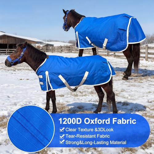 Miniature Horse Pony Horse Blanket, 1200D Winter Turnout Blanket for Pony Breeds/Tiny Horse/Small Breed Horse/Foal,Donkey Blanket Medium Weight with 220g Polyester Liner(51inch, Blue) - size: 100cm-51inch