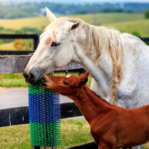 3 Pack Livestock Scratching Brush, Blue and Green - color: Blue and Green