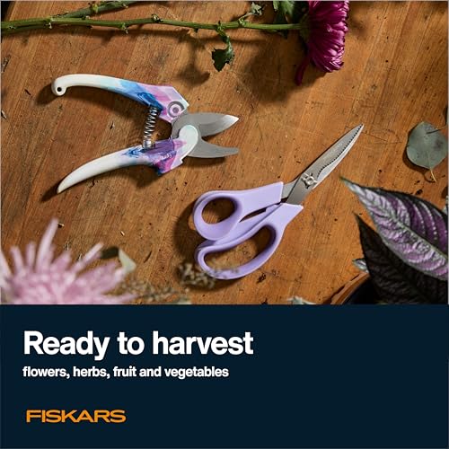 Fiskars 2-Piece Garden Tool Set, Pruning Shears & Vegetable Scissors | Explore Collection Bypass Garden Clippers, Vegetable Shears w/ Serrated Stainless Steel Blades for Harvesting Flowers & Herbs - style: Pruner & Veggie Shears Set