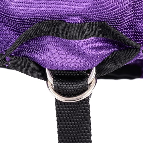 Weaver Leather Livestock ProCool Mesh Sheep Blanket with Reflective Piping, Purple, Extra Large