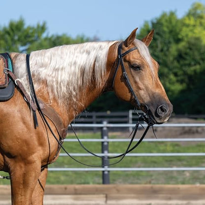Weaver Leather Black Latigo Leather Headstall - style: Straight Browband