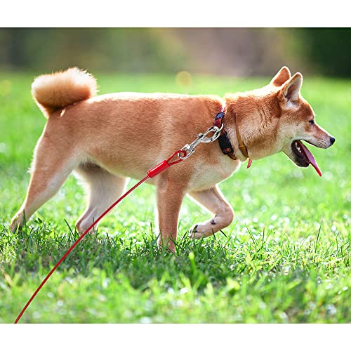 BV Dog Tie Out Cable 30 Feet - Heavy Duty Dog Lead Up to 125 Pounds - Reflective & Rust-Free with Quick Release Swivel Clips & 360° Rotating Clasp - Tangle-Free Dogs Runner for Yard (Red, Single) - color: 125lbs/ 30ft/ Red, style: Single