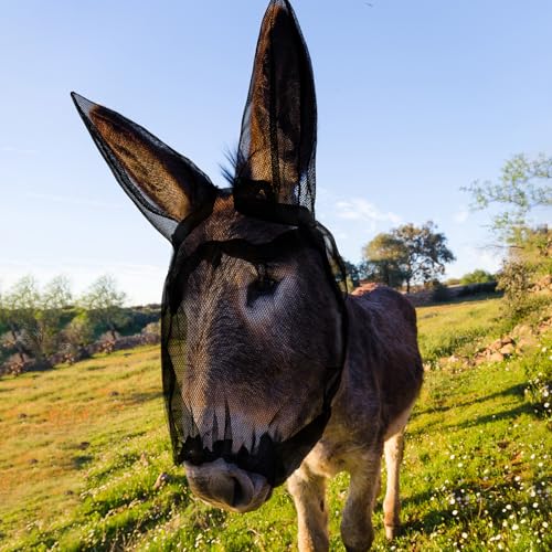 1 Pcs Small Donkey Fly Mask with Ear Protection, Black - size: Small Donkey