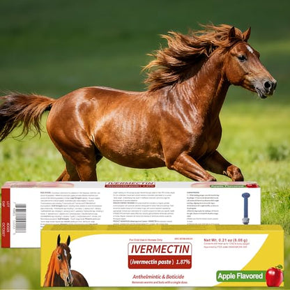Horse Paste 1.87% – 4 Pack (6.08g Each) Apple Flavored Oral for Horses